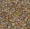 Flotex Vision Autumn Leaves